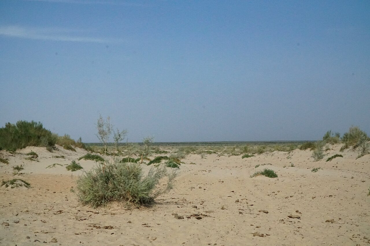 Archival view of the former Aral Sea bed at Mo‘ynoq, photographed by Adam Harangozó in August 2018